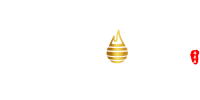 Planet Wok